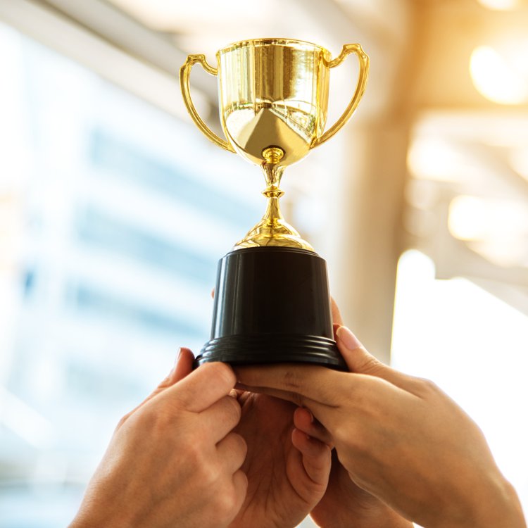 Outdoor Training: Team Building Experiencial para el desarrollo de tus equipos de trabajo